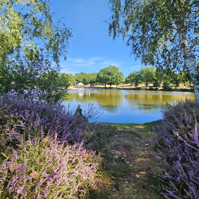 Peyrat La Noniere Etang De Chaux 2025 A. Gorsse 3