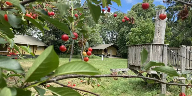 Lussat Mas En Haut Camping Cerises