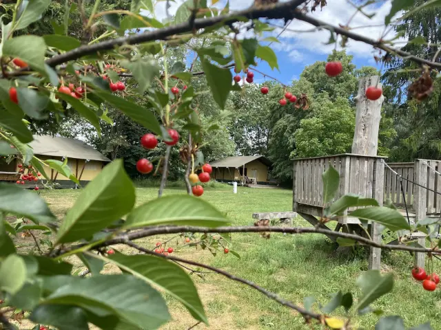 Lussat Mas En Haut Camping Cerises