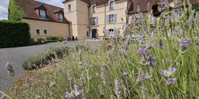 Domaine de
