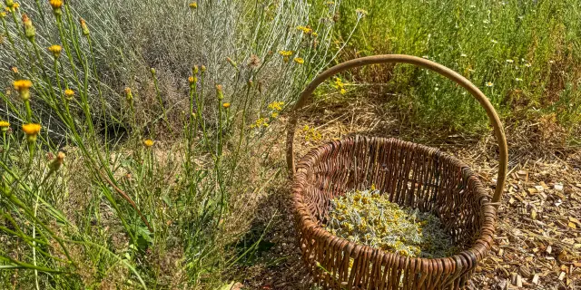 Lavaleedelakreuzecreusetourisme - panier