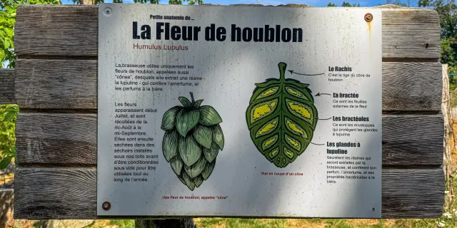 Lavaleedelakreuzecreusetourisme - panneau explicatif