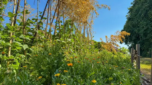 Lavaleedelakreuzecreusetourisme - jardins