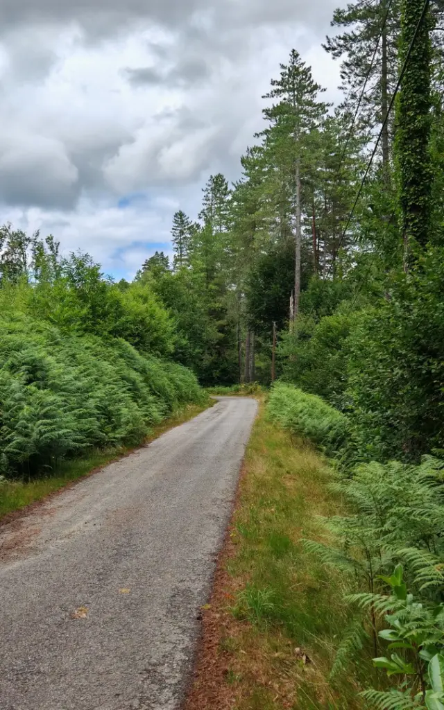 GR de Pays 65 Cascades Landes et Tourbières