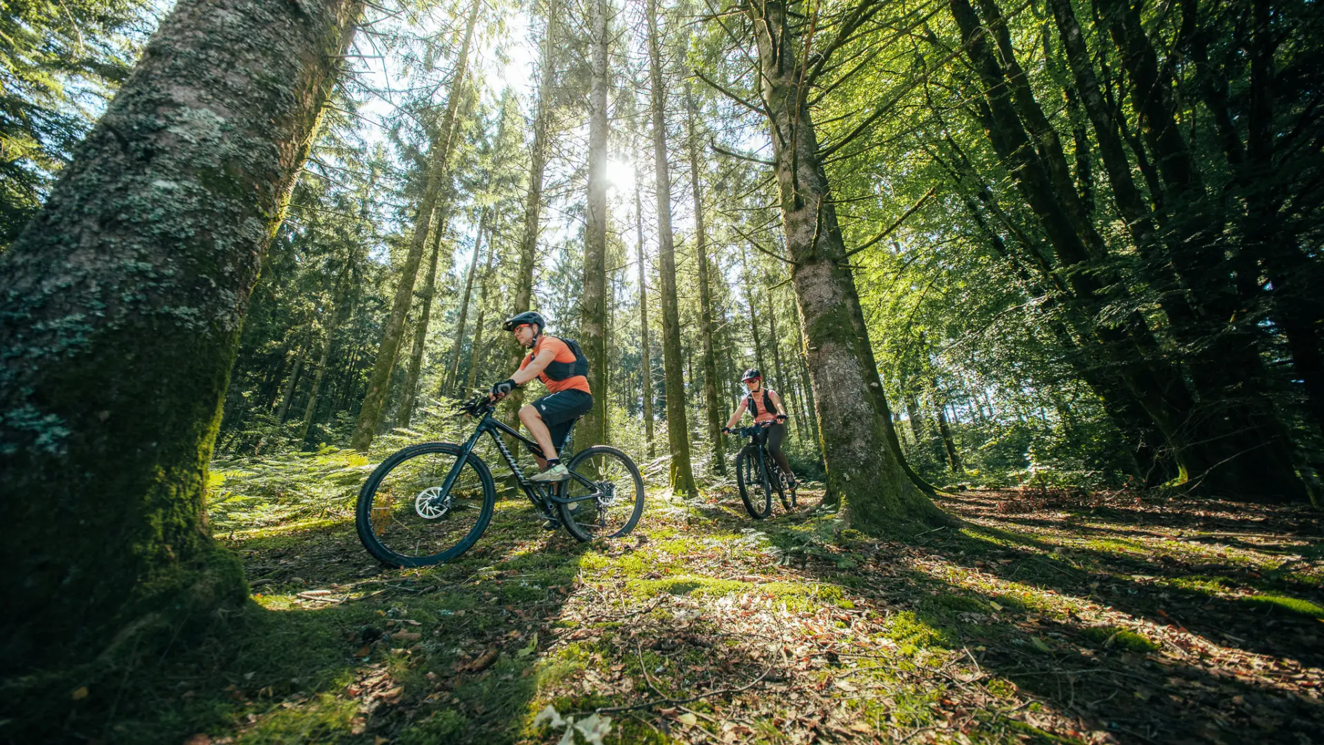 PNR Millevaches VTT