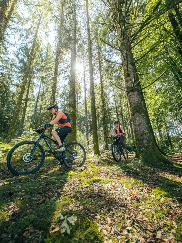 PNR Millevaches VTT
