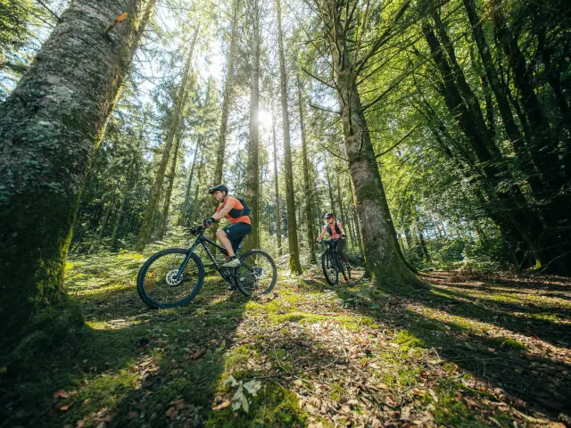 PNR Millevaches VTT